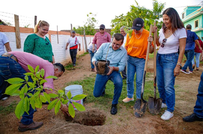  Arranca campaña de reforestación en la zona rural de Mazatlán