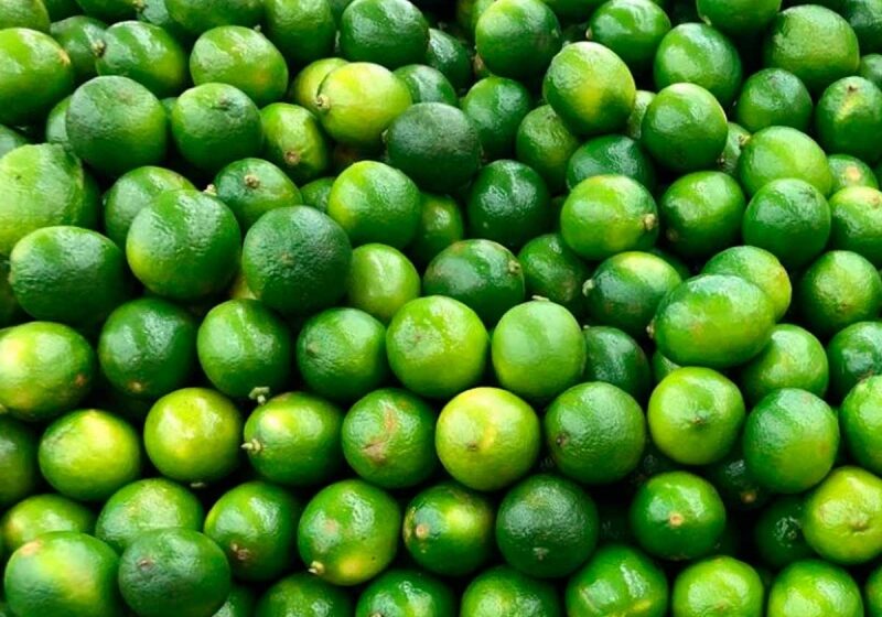  Aumenta el precio del limón 7% por inseguridad en zonas de producción