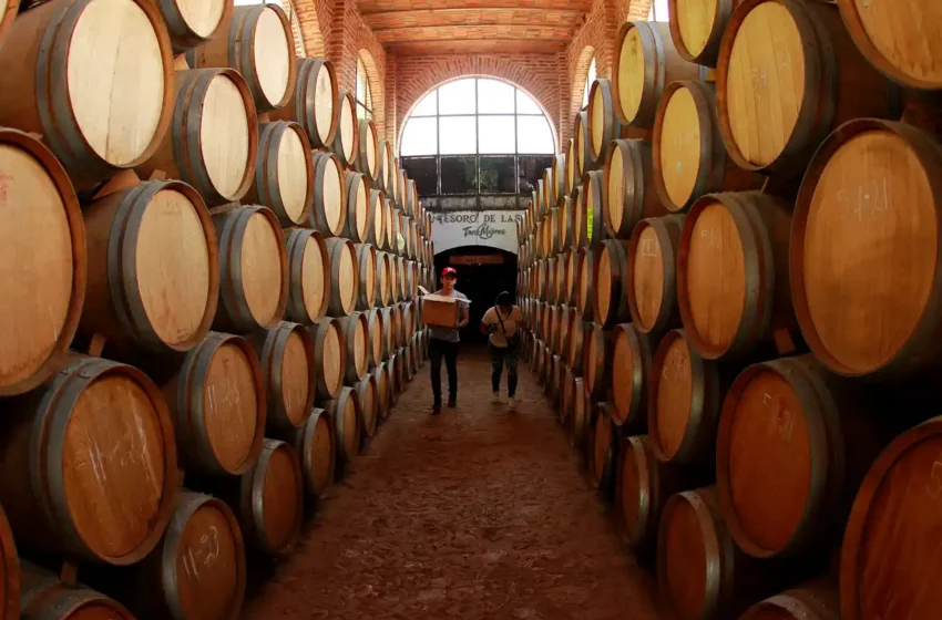  Exportación de tequila creció casi 1% en 2023, prevé industria