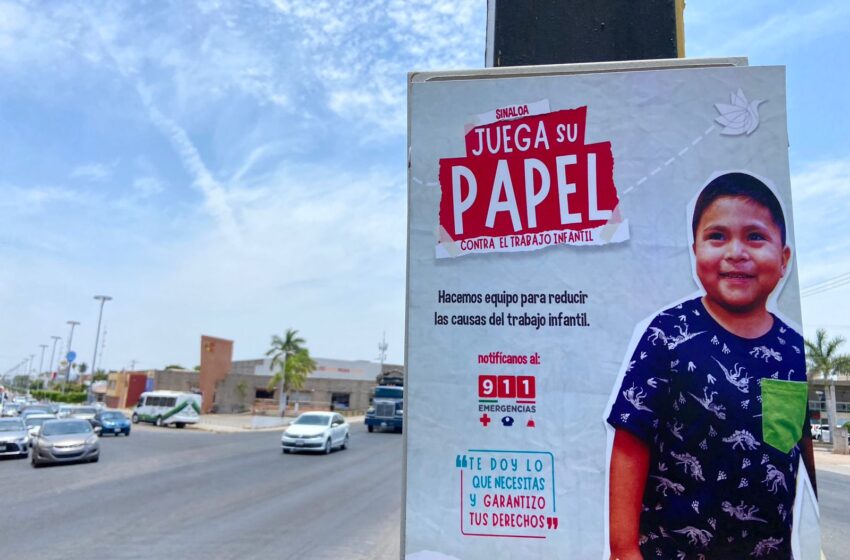  Afirma DIF que han disminuido los casos de trabajo infantil en Mazatlán pero aún persisten en la zona rural