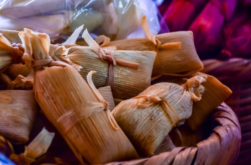  ¡A puro sabor de La Noria! Celebran la 5ta Feria del Tamal