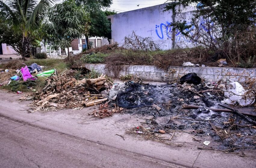  Habrá mano dura en Mazatlán contra quienes tiren basura en zonas y horarios prohibidos