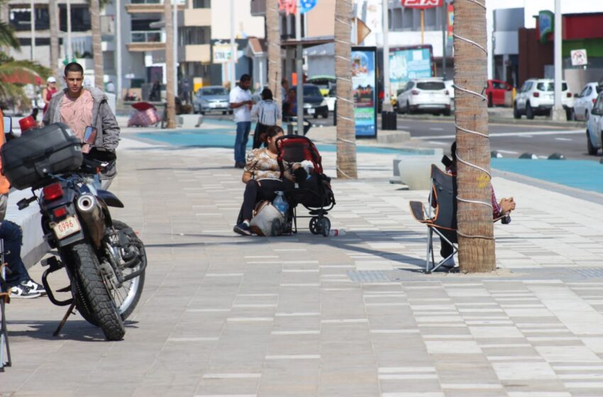  Hasta con carriola apartan para ver desfile en Malecón de Mazatlán