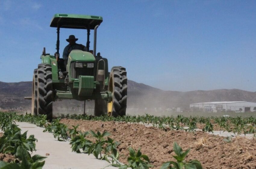  InfoAgro: Turquía ofrece exportar fertilizantes a México