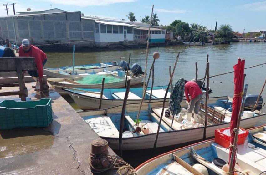  Pescadores ribereños aprovechan los últimos días de pesca de jaiba; el primero de mayo inicia la veda