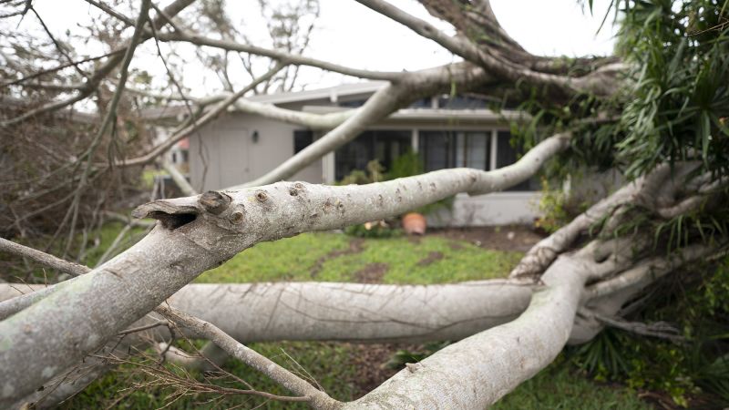  “Hablo de mudarme a diario”: residentes de Florida consideran si deben irse tras los huracanes destructivos