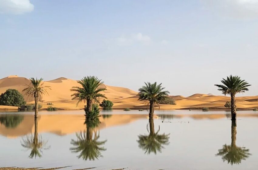  El desierto del Sahara se inundó por primera vez en décadas. Así luce