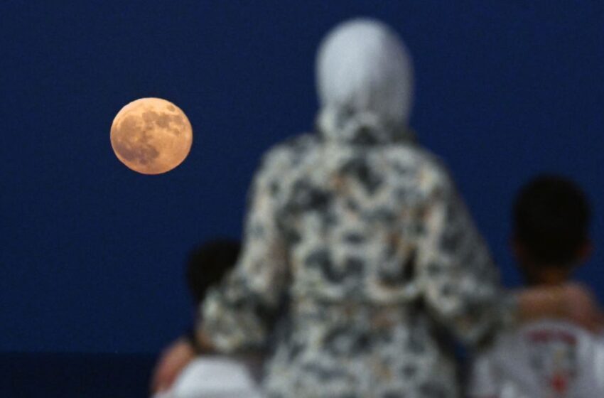  ¿Cómo y dónde ver la última superluna de 2024?