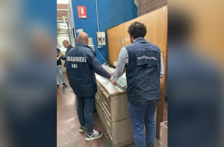  La Policía de Francia e Italia desmantela banda que vendía botellas de vino añejo falso por US$ 16.000 cada una