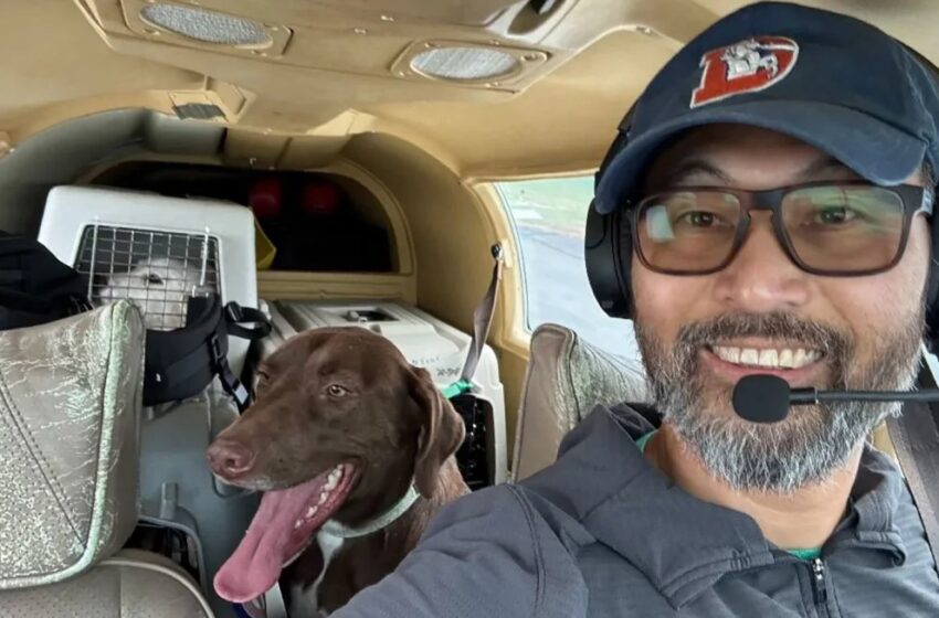  Piloto de rescate de animales y perro mueren en accidente aéreo en montañas de Nueva York; 2 perros sobreviven