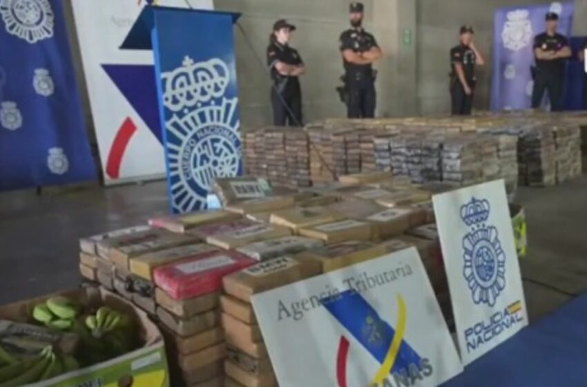  Incautan 1.408 toneladas de drogas en operación multinacional coordinada por Colombia
