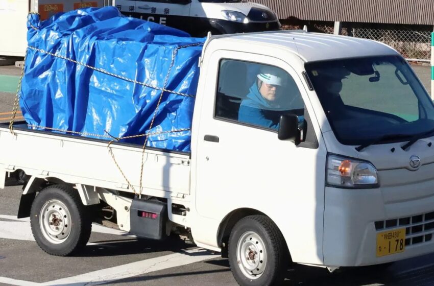  Un oso ataca a un trabajador y saquea la sección de carne en un supermercado de Japón