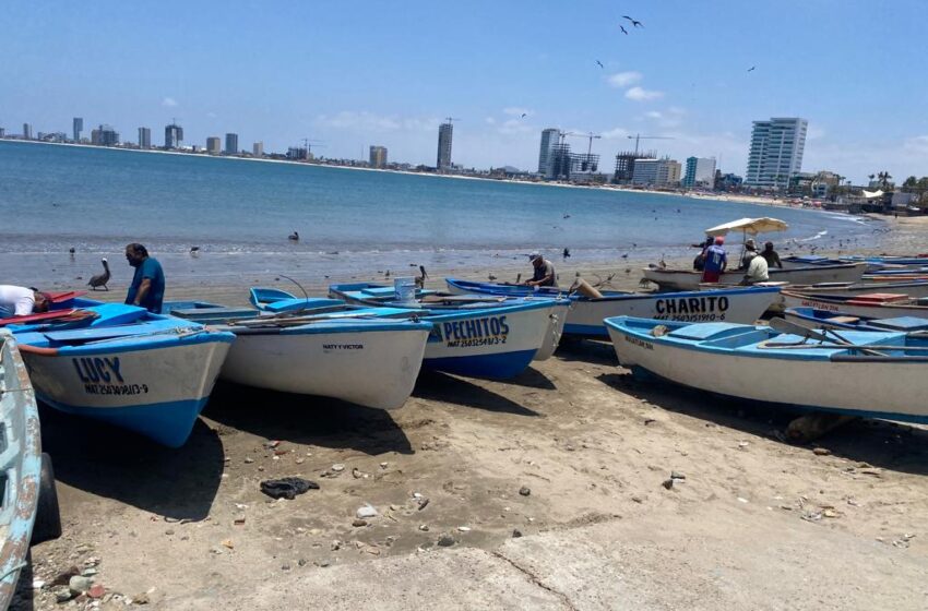  Solo alcanza para solventar gastos de gasolina y carnada, manifiestan Pescadores de Playa Norte