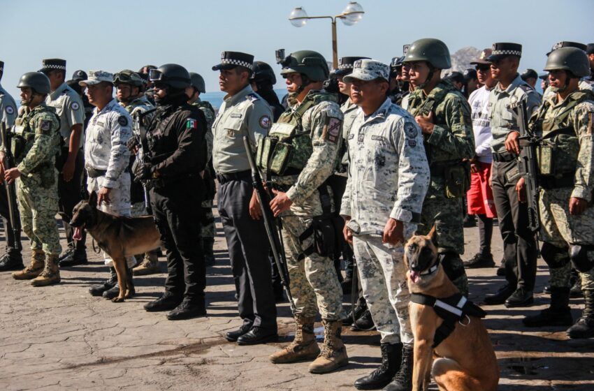 Despliegan más de 3 mil elementos en Operativo de Carnaval