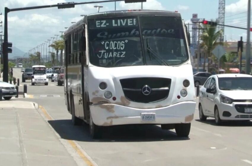  ¿Habrá cambios en transporte durante Carnaval? Esto planea la Alianza