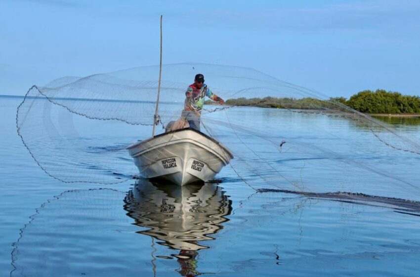  Pago Bienpesca Estatal podría realizarse antes de la temporada camaronera