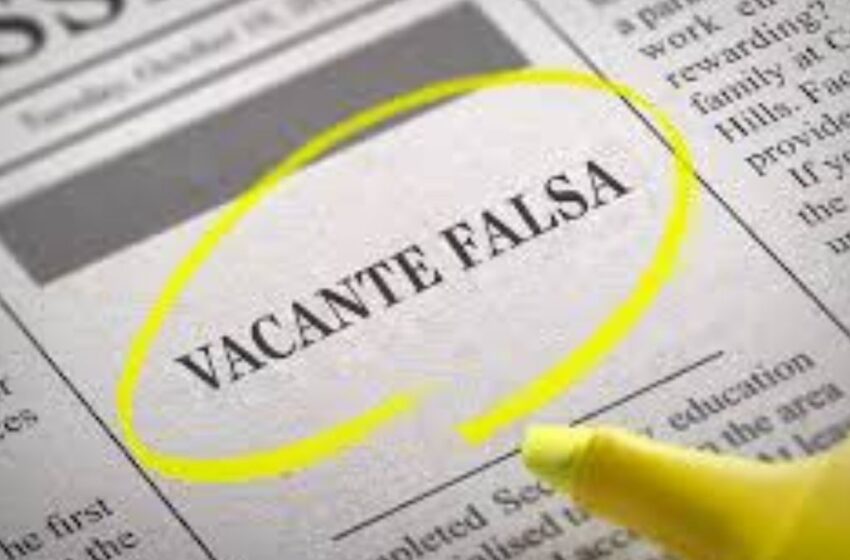 ¿Buscas empleo? ¡Ojo! Aprende a identificar ofertas falsas de trabajo