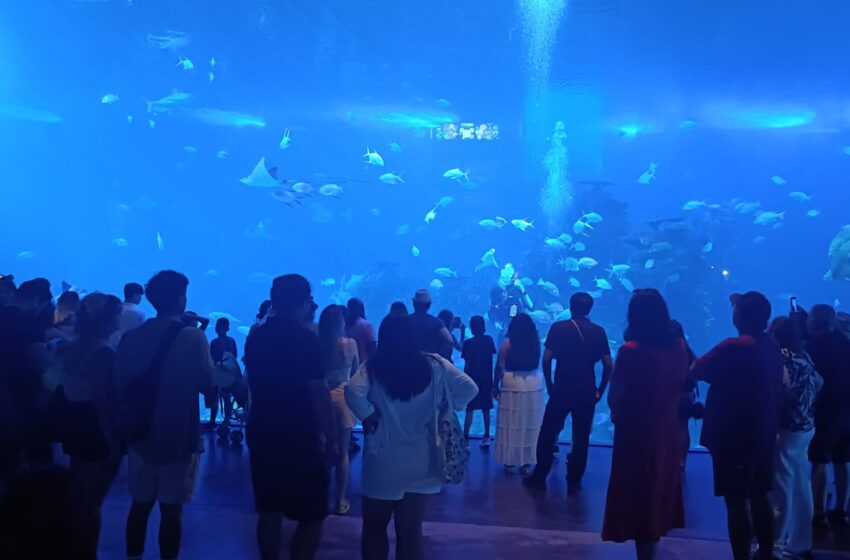  Familias Disfrutan al Máximo en el Gran Acuario Mazatlán