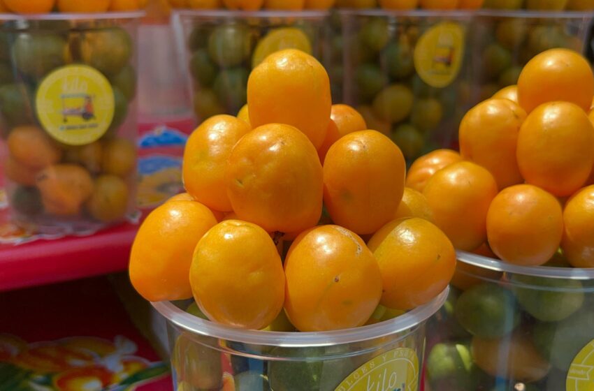  ¡Llegó la fruta de temporada! Ya hay deliciosas ciruelas en Mazatlán