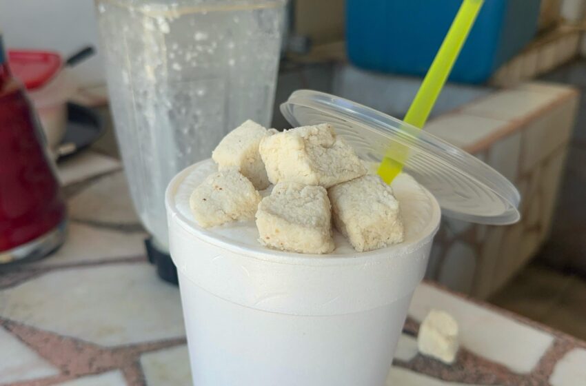  Licuados de Coco, más de 70 años de historia en Mazatlán