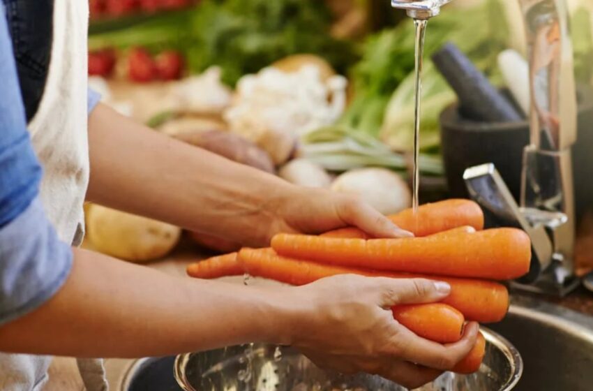  Altas temperaturas elevan riesgos por alimentos mal conservados