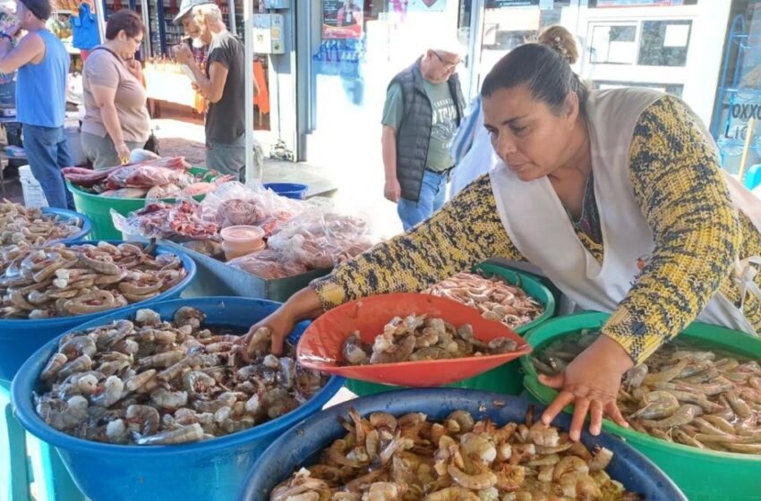  Se incumplen pronósticos: venta de camarón baja a la mitad, reportan Changueras 