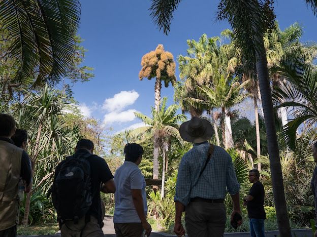  Recorridos por el orquideario, Banco de Germoplasma y cine al aire libre, los imperdibles de Mayo en Jardín Botánico Culiacán
