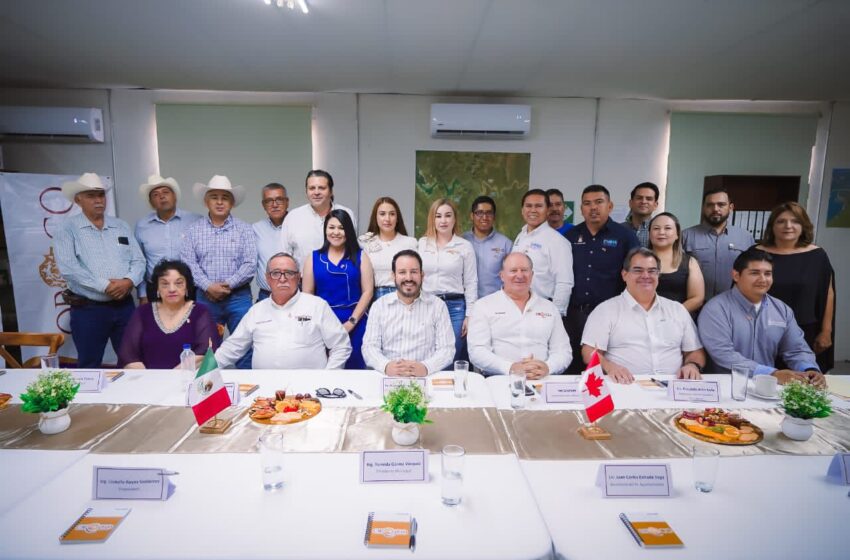  Oroco Resources anuncia inversión de 20 millones de dólares para ampliar exploración minera en Sinaloa