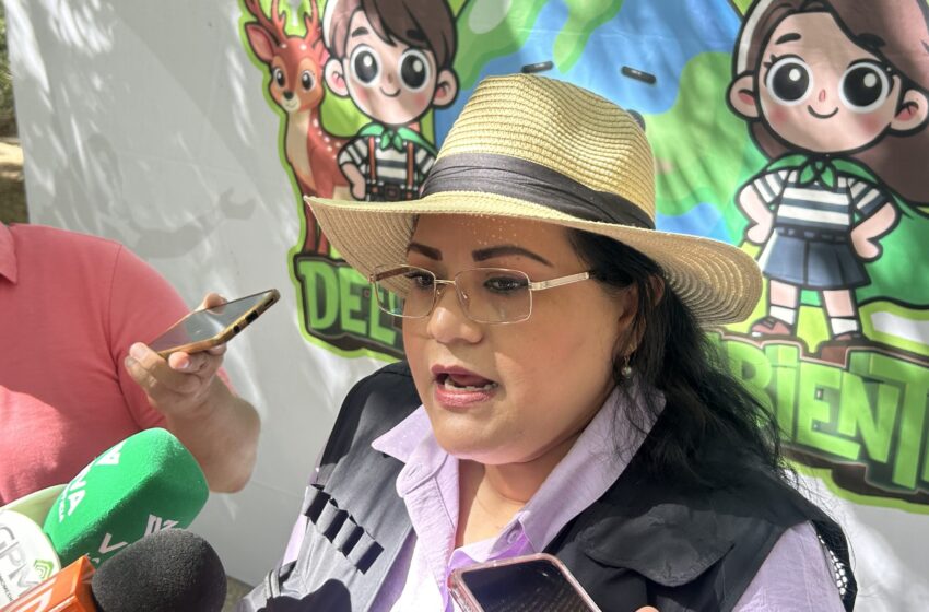  Ecología y Medio Ambiente ha atendido 185 reportes de panales de abejas en lo que va del 2025