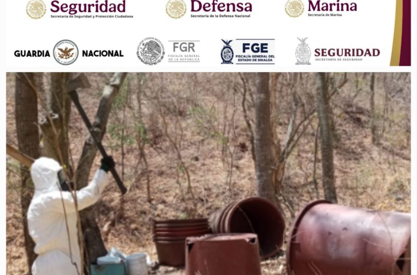  En Cosalá y Elota, Grupo Interinstitucional asegura 4 áreas de concentración de sustancias para la elaboración de drogas