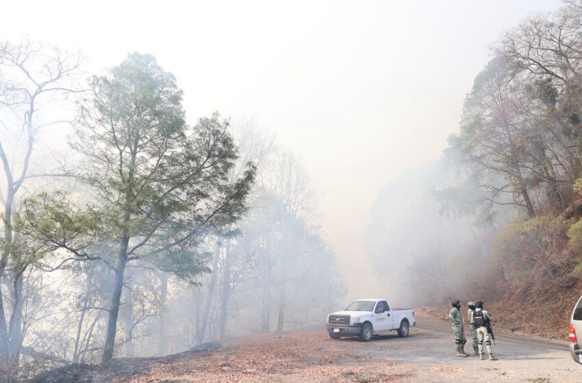  Refuerza brigadas contra el incendio forestal en El Palmito: SEBIDES