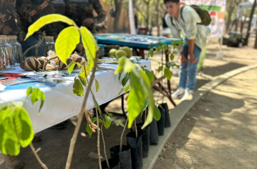  Lo más top del cuidado del medio ambiente, en la Expo Ambiental Son Playas 