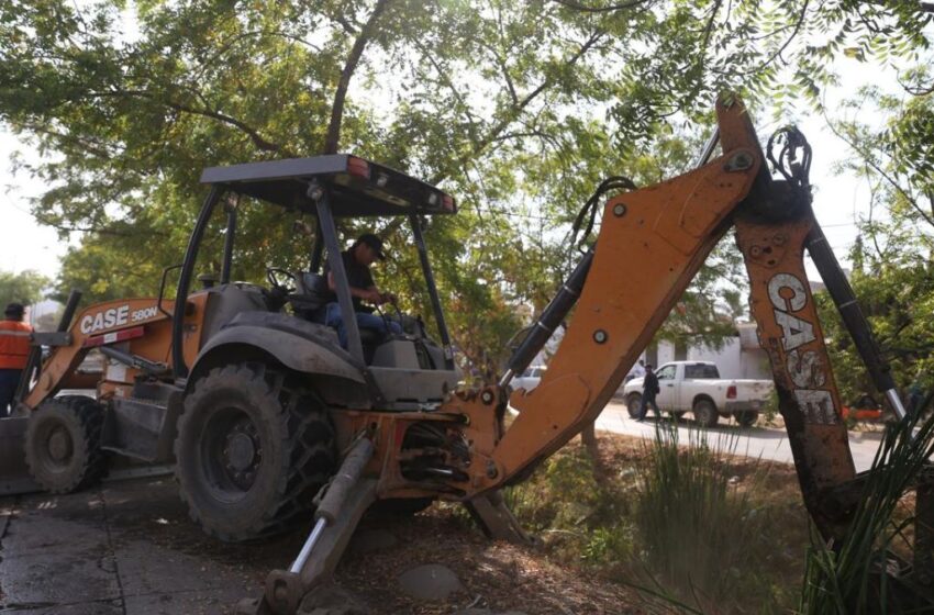  Mazatlán tendrá canales pluviales limpios antes de las lluvias: Alcaldesa 