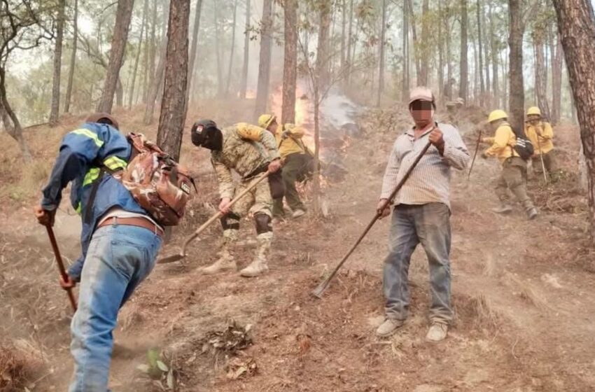  Concordia nos necesita. Piden apoyo para familias por incendios forestales