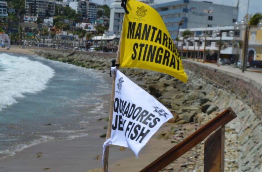  Alerta por posibles picaduras en playas con la llegada de lluvias