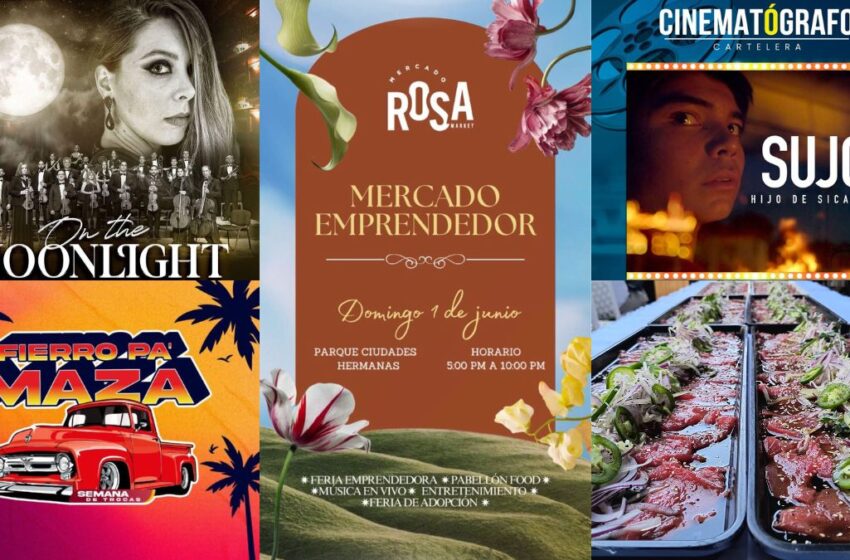  Conciertos, bazares y cine gratuito este fin de semana en Mazatlán. Aquí la cartelera