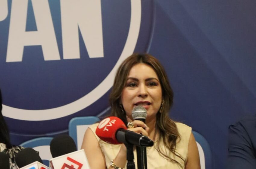  UN SECTOR SALUD CON DESABASTO, DESCONTROL Y CORRUPCIÓN, ES LO QUE HA GENERADO MORENA: PAN