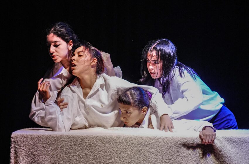  “Paralelismos”, una travesía íntima desde la danza contemporánea