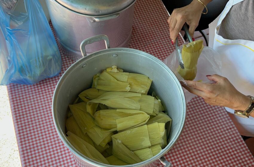 Tamales de la “Cuchillita” los Más Famosos y Sabrosos de Mazatlán