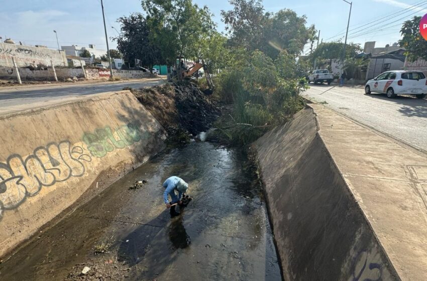  Avanza 90% limpieza de canales en Mazatlán: Protección Civil 