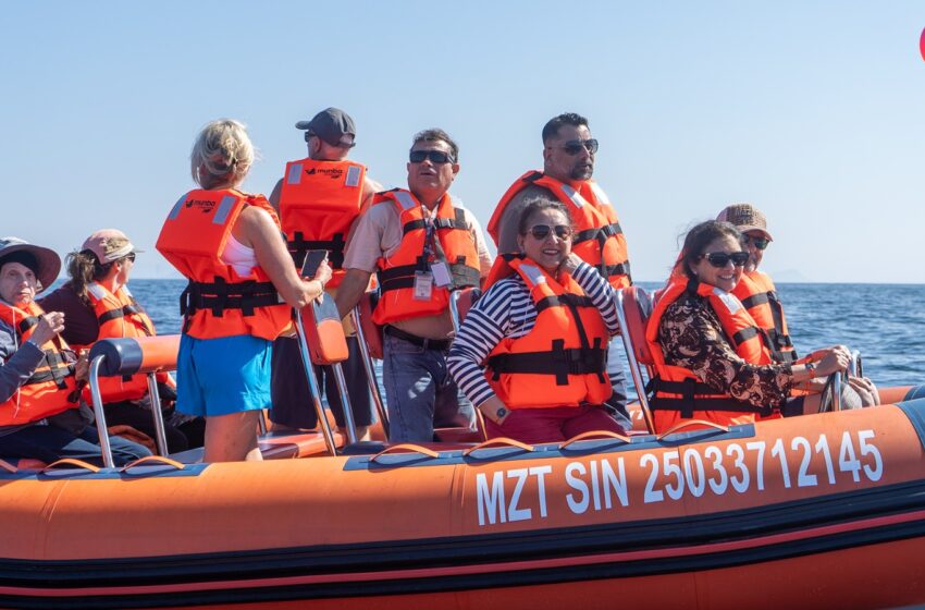  Mazatlán tendrá un safari marino, ¿lo sabías?  