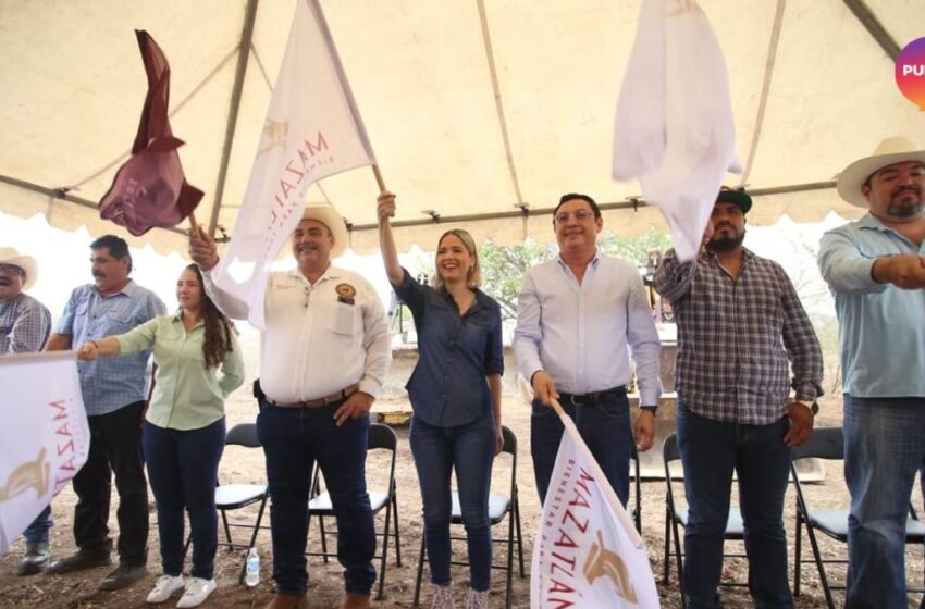 Arranca construcción de abrevaderos en Mazatlán: respiro para el ganado