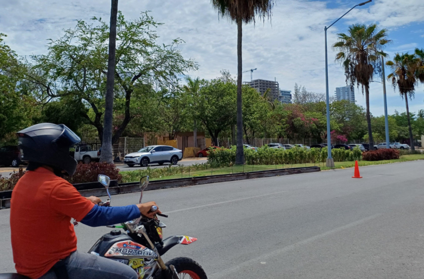 Camellones de Mazatlán se llenan de vida con Caminos de Colores