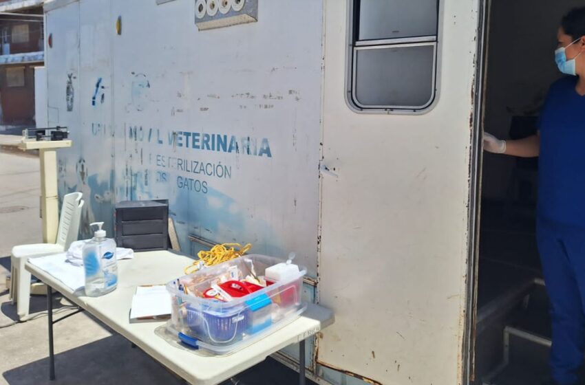  Activistas y autoridades se unen por los ‘lomitos’ de la Venustiano Carranza