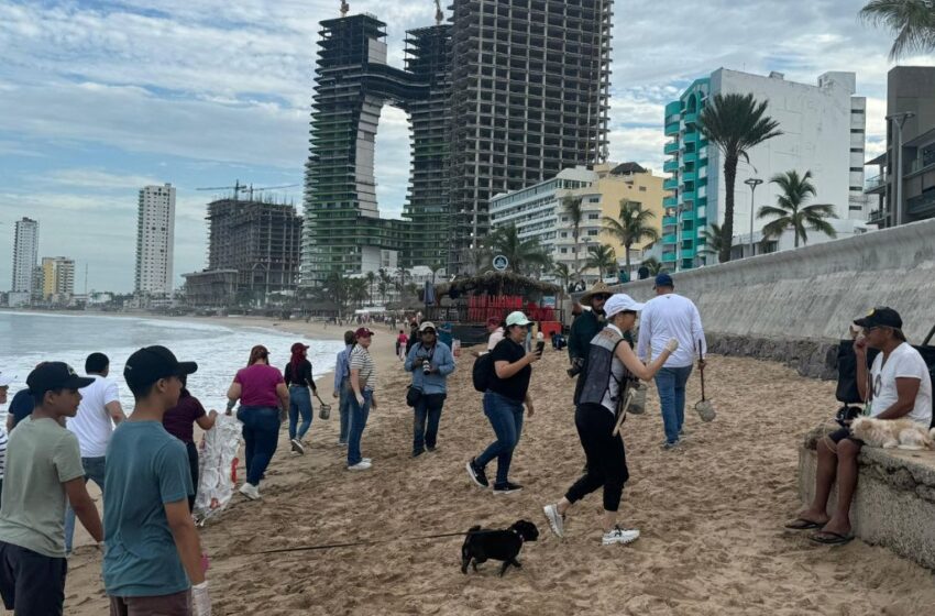Crece número de voluntarios en Mazatlán te quiero limpio